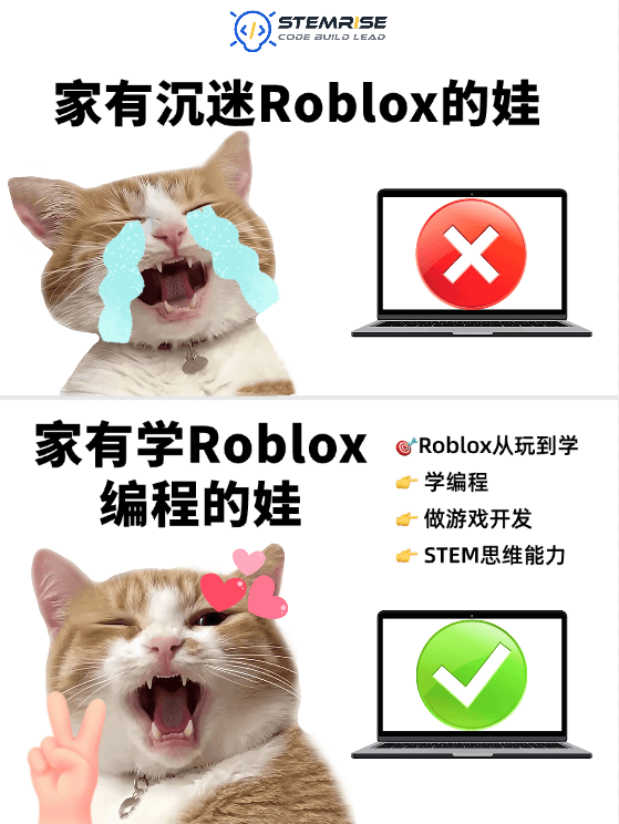 STEMRISE加拿大青少年编程| 学Roblox游戏开发, 让孩子从玩家蜕变开发工程师 - STEMRise News Article